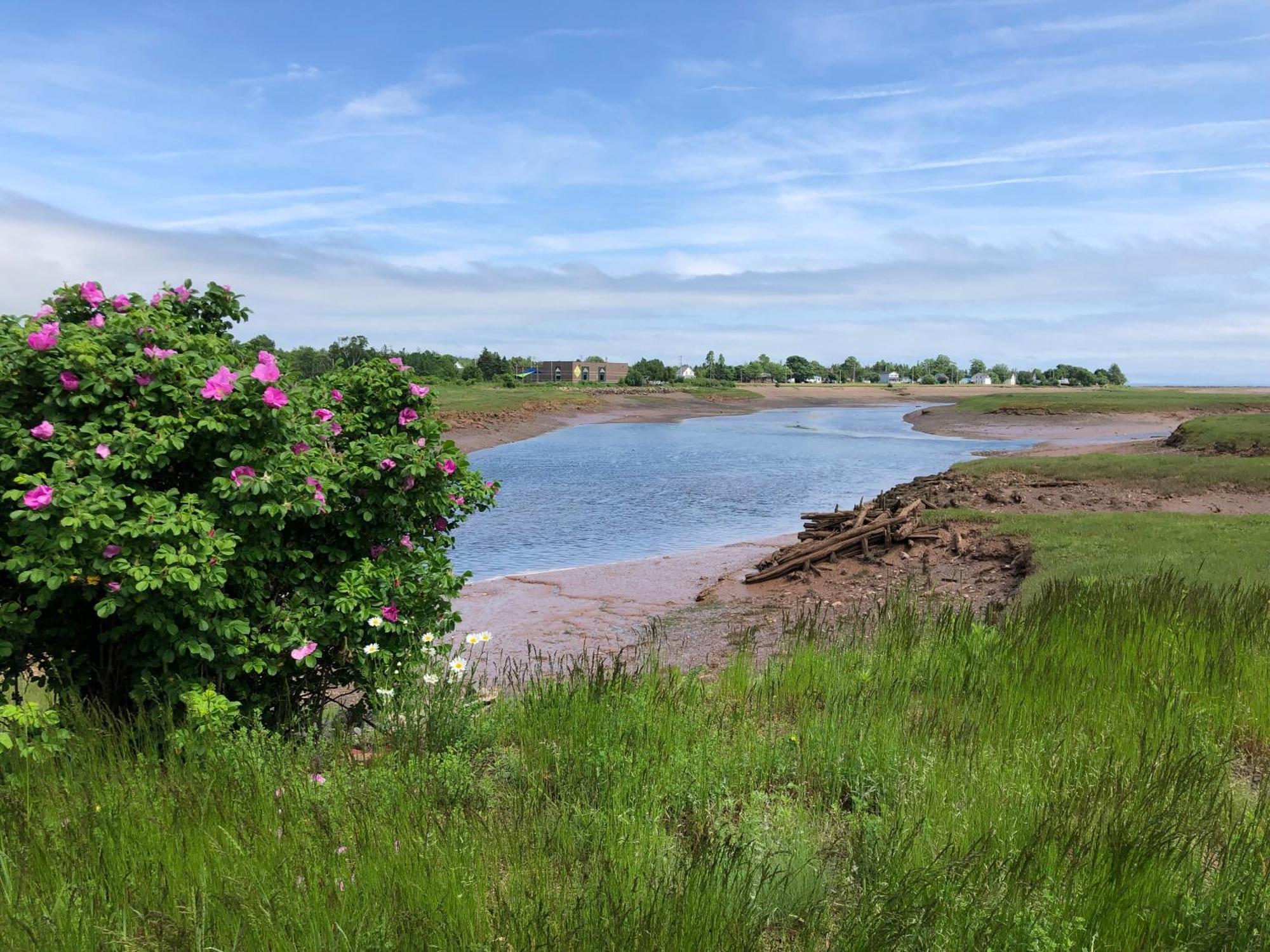 Pleasant Street Inn Parrsboro Экстерьер фото