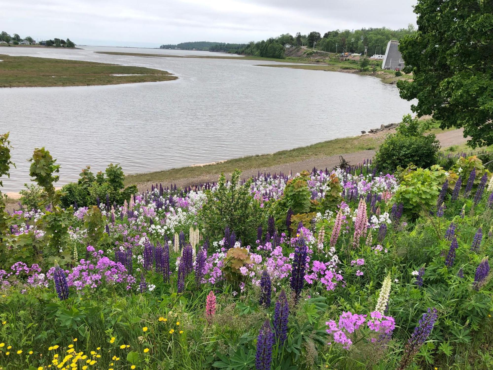Pleasant Street Inn Parrsboro Экстерьер фото